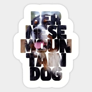 Bernese mountain dog Sticker